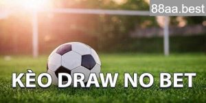 Kèo draw no bet là gì