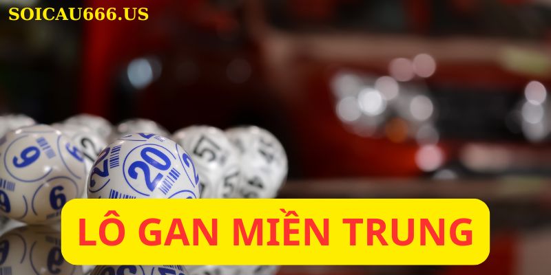 Lô gan miền trung